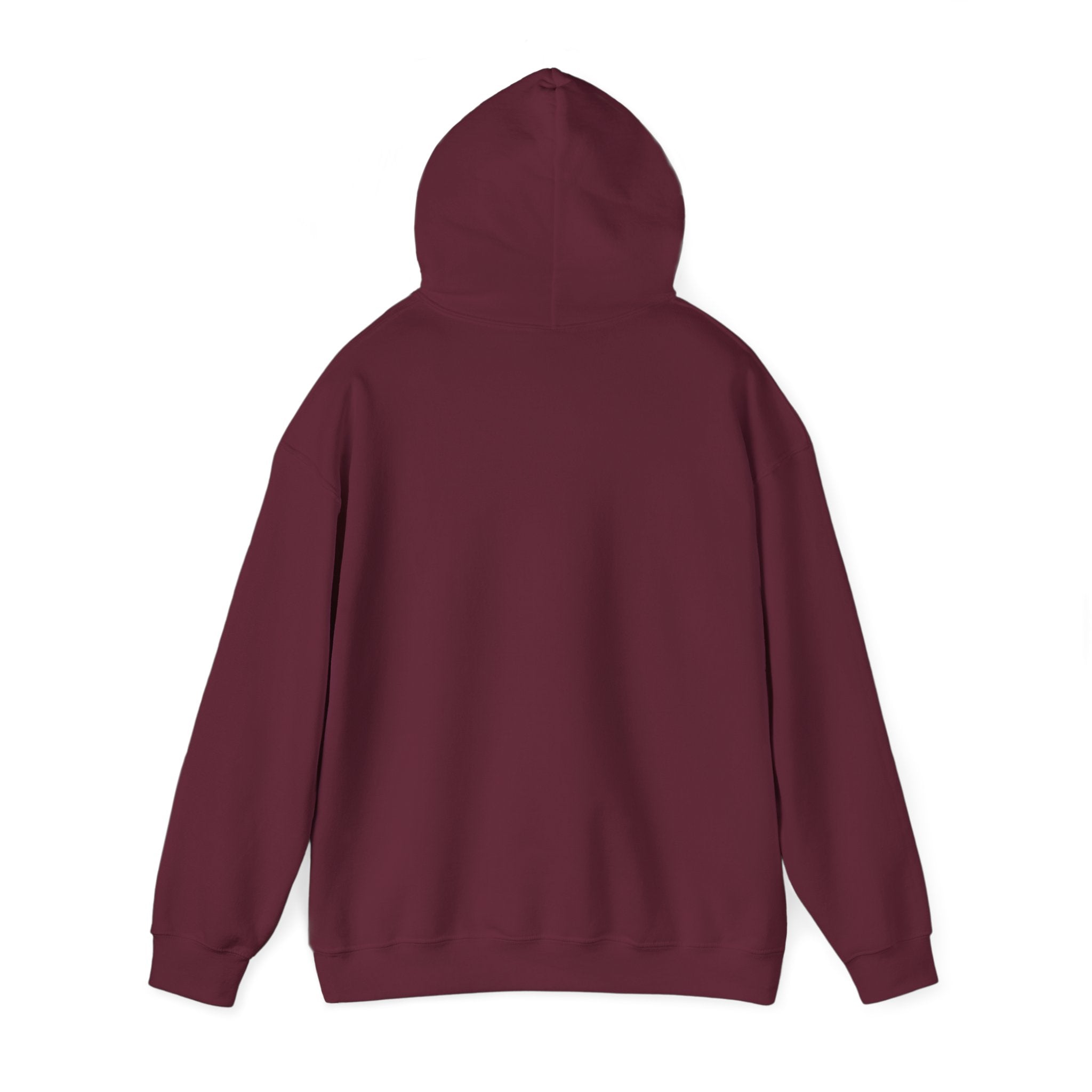 Adislav 2 -  Hooded Sweatshirt