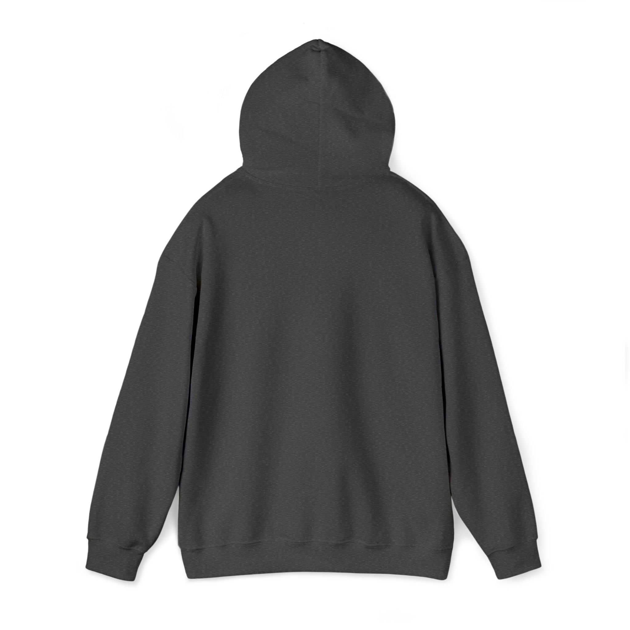 Big Biznis here -  Hooded Sweatshirt