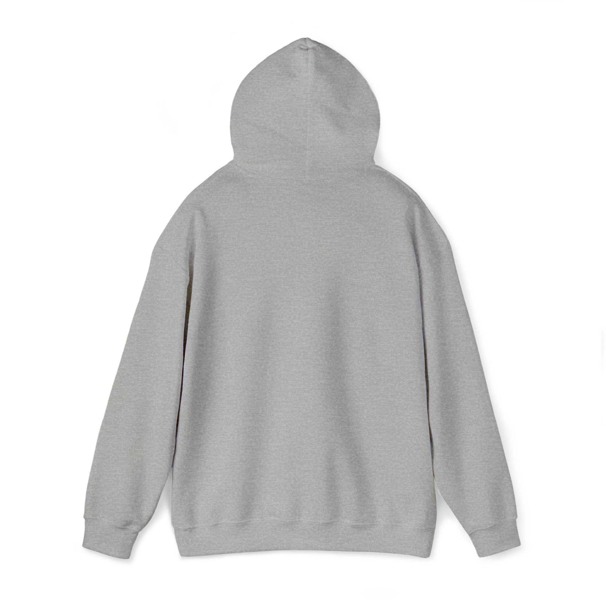 Big Biznis here -  Hooded Sweatshirt